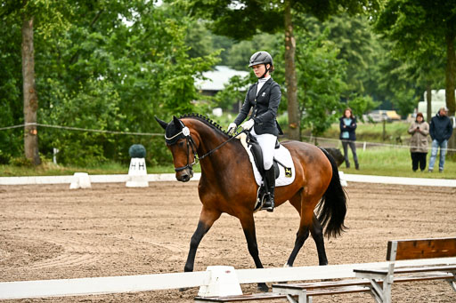 Goldene Schärpe Pferfde in Löningen 2026 | 12062026Dressur B _0057 