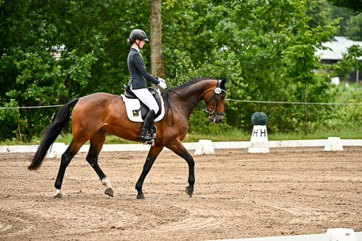 Goldene Schärpe Pferfde in Löningen 2026 | 12062026Dressur B _0059 