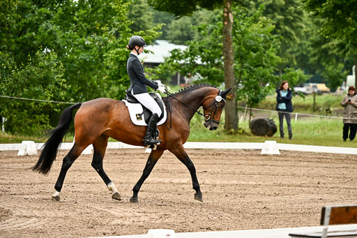 Goldene Schärpe Pferfde in Löningen 2026 | 12062026Dressur B _0060 