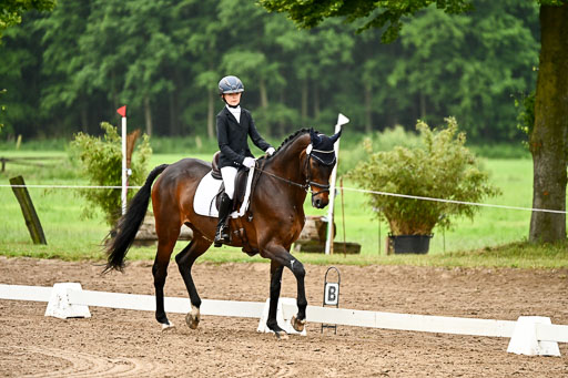 Goldene Schärpe Pferfde in Löningen 2026 | 12062026Dressur B _0062 