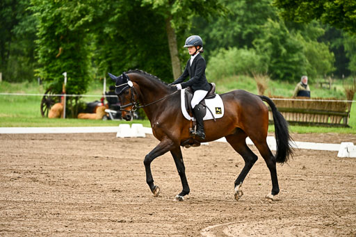 Goldene Schärpe Pferfde in Löningen 2026 | 12062026Dressur B _0063 