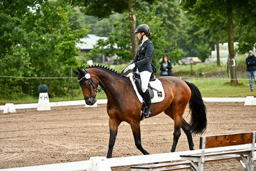 Goldene Schärpe Pferfde in Löningen 2026 | 12062026Dressur B _0064 