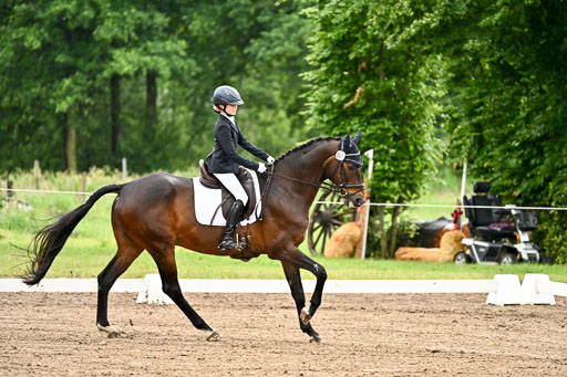 Goldene Schärpe Pferfde in Löningen 2026 | 12062026Dressur B _0065 