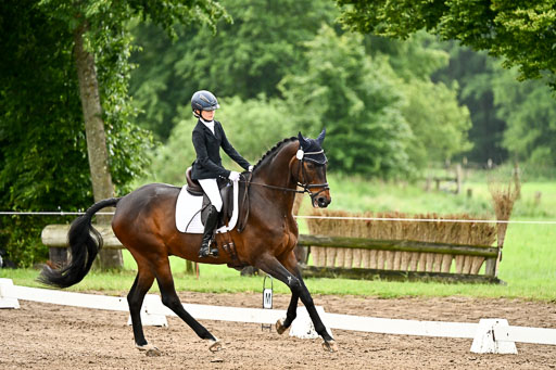 Goldene Schärpe Pferfde in Löningen 2026 | 12062026Dressur B _0066 