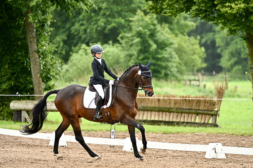 Goldene Schärpe Pferfde in Löningen 2026 | 12062026Dressur B _0067 