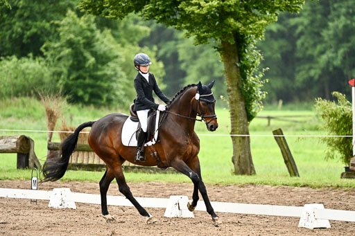 Goldene Schärpe Pferfde in Löningen 2026 | 12062026Dressur B _0068 