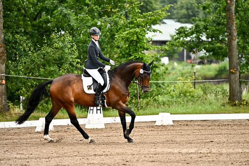 Goldene Schärpe Pferfde in Löningen 2026 | 12062026Dressur B _0069 