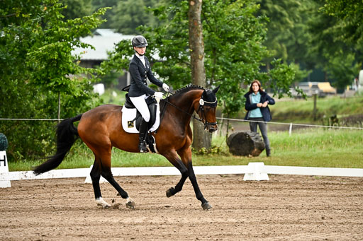 Goldene Schärpe Pferfde in Löningen 2026 | 12062026Dressur B _0070 