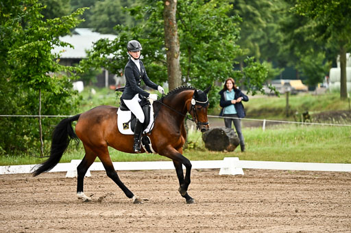 Goldene Schärpe Pferfde in Löningen 2026 | 12062026Dressur B _0071 