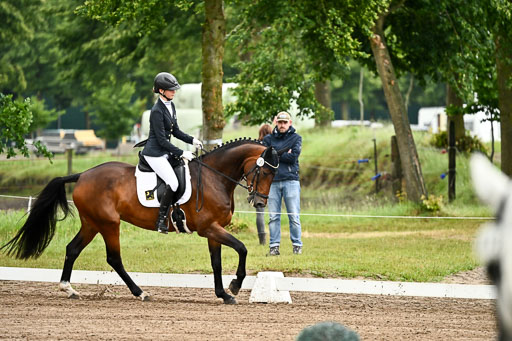 Goldene Schärpe Pferfde in Löningen 2026 | 12062026Dressur B _0073 