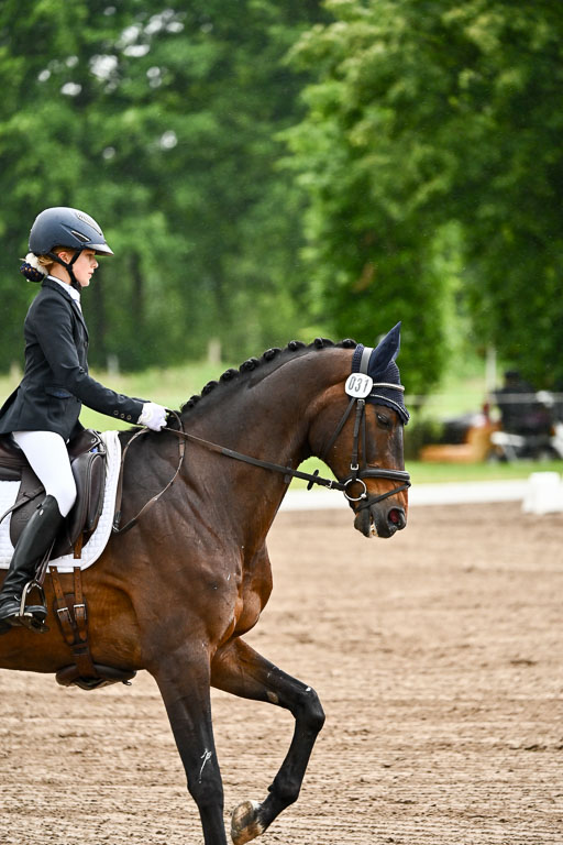 Goldene Schärpe Pferfde in Löningen 2026 | 12062026Dressur B _0074 