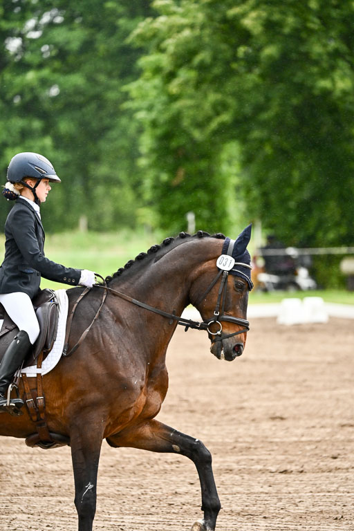 Goldene Schärpe Pferfde in Löningen 2026 | 12062026Dressur B _0075 