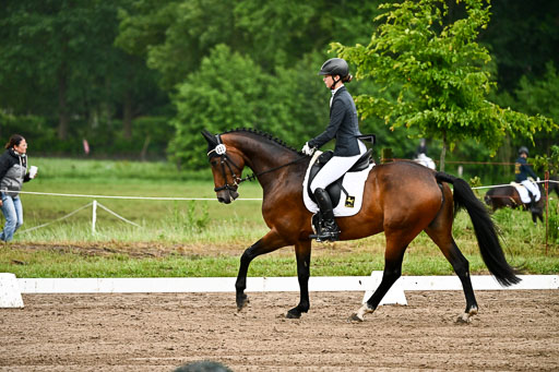 Goldene Schärpe Pferfde in Löningen 2026 | 12062026Dressur B _0076 