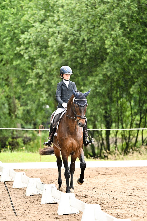 Goldene Schärpe Pferfde in Löningen 2026 | 12062026Dressur B _0079 