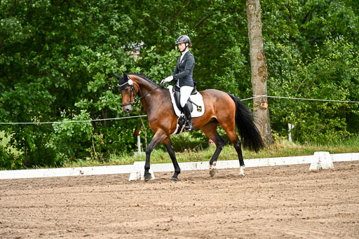 Goldene Schärpe Pferfde in Löningen 2026 | 12062026Dressur B _0080 