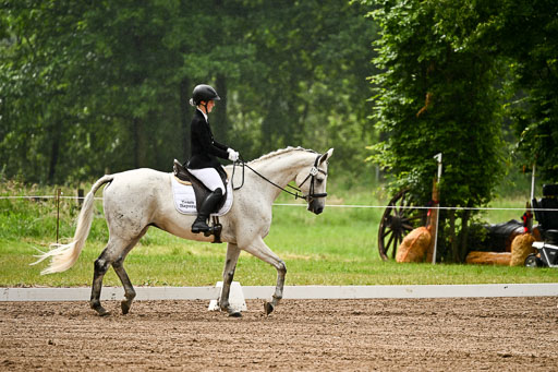 Goldene Schärpe Pferfde in Löningen 2026 | 12062026Dressur B _0082 