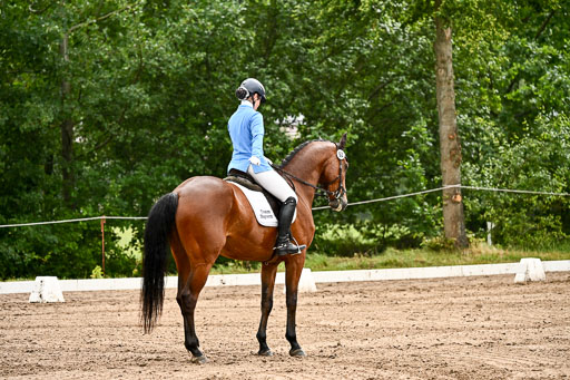 Goldene Schärpe Pferfde in Löningen 2026 | 12062026Dressur B _0089 