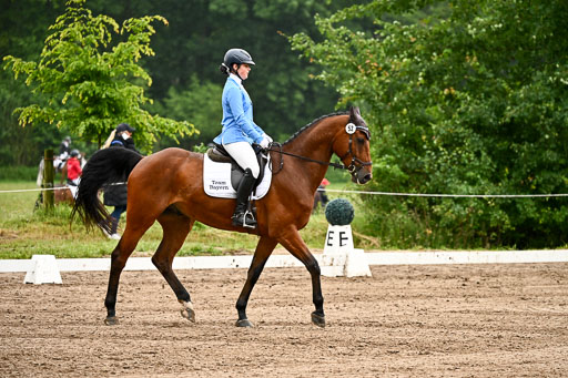 Goldene Schärpe Pferfde in Löningen 2026 | 12062026Dressur B _0094 