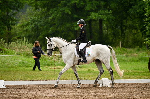 Goldene Schärpe Pferfde in Löningen 2026 | 12062026Dressur B _0096 