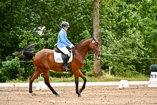 Goldene Schärpe Pferfde in Löningen 2026 | 12062026Dressur B _0100 