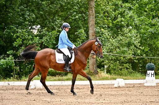 Goldene Schärpe Pferfde in Löningen 2026 | 12062026Dressur B _0101 