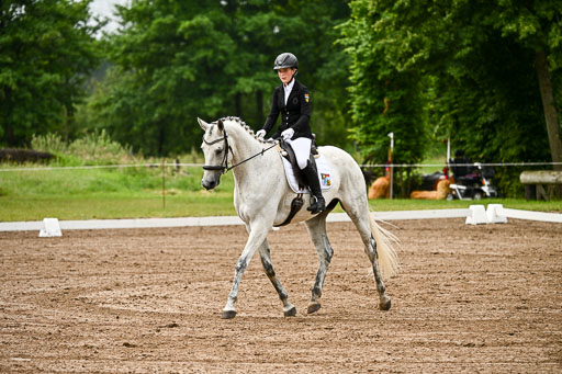 Goldene Schärpe Pferfde in Löningen 2026 | 12062026Dressur B _0103 
