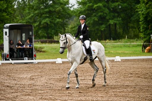 Goldene Schärpe Pferfde in Löningen 2026 | 12062026Dressur B _0104 