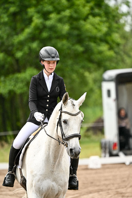 Goldene Schärpe Pferfde in Löningen 2026 | 12062026Dressur B _0105 