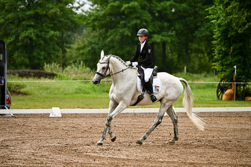 Goldene Schärpe Pferfde in Löningen 2026 | 12062026Dressur B _0111 