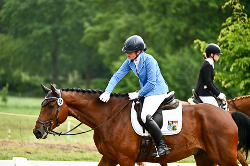 Goldene Schärpe Pferfde in Löningen 2026 | 12062026Dressur B _0117 