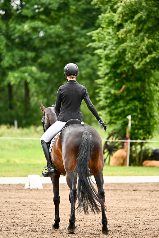Goldene Schärpe Pferfde in Löningen 2026 | 12062026Dressur B _0119 