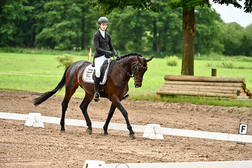 Goldene Schärpe Pferfde in Löningen 2026 | 12062026Dressur B _0122 