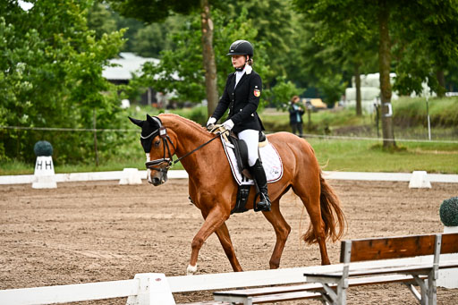 Goldene Schärpe Pferfde in Löningen 2026 | 12062026Dressur B _0124 