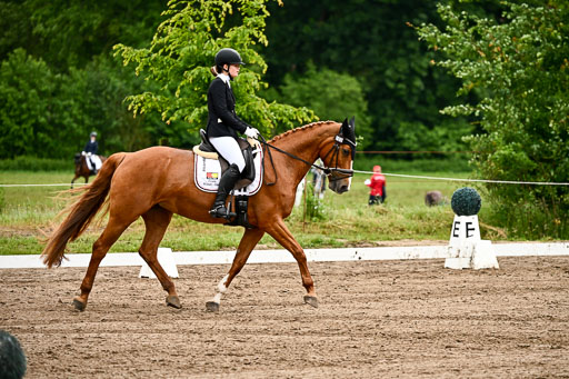 Goldene Schärpe Pferfde in Löningen 2026 | 12062026Dressur B _0125 