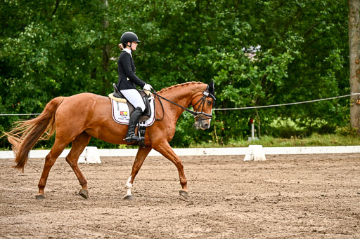 Goldene Schärpe Pferfde in Löningen 2026 | 12062026Dressur B _0127 