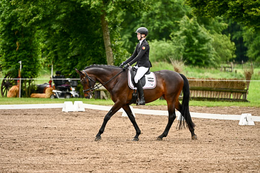 Goldene Schärpe Pferfde in Löningen 2026 | 12062026Dressur B _0128 