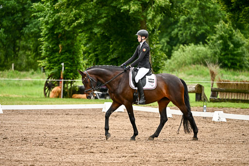 Goldene Schärpe Pferfde in Löningen 2026 | 12062026Dressur B _0129 
