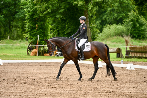 Goldene Schärpe Pferfde in Löningen 2026 | 12062026Dressur B _0130 