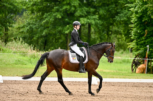 Goldene Schärpe Pferfde in Löningen 2026 | 12062026Dressur B _0132 