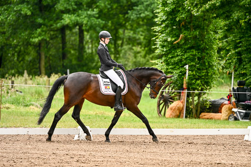 Goldene Schärpe Pferfde in Löningen 2026 | 12062026Dressur B _0134 