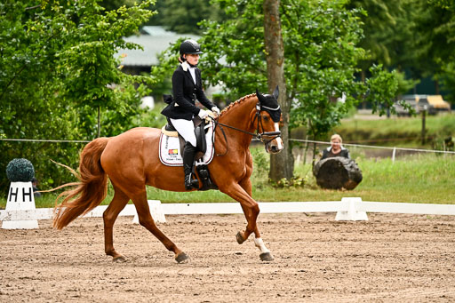 Goldene Schärpe Pferfde in Löningen 2026 | 12062026Dressur B _0135 