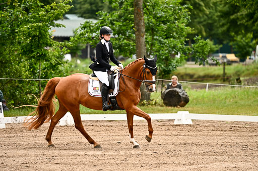 Goldene Schärpe Pferfde in Löningen 2026 | 12062026Dressur B _0136 