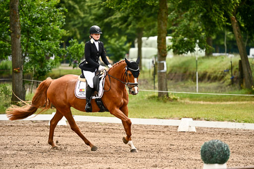 Goldene Schärpe Pferfde in Löningen 2026 | 12062026Dressur B _0137 