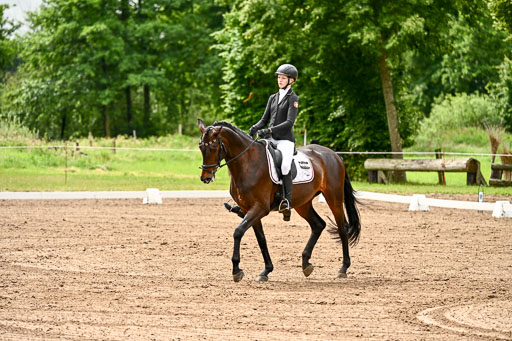 Goldene Schärpe Pferfde in Löningen 2026 | 12062026Dressur B _0138 