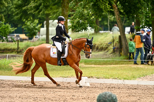 Goldene Schärpe Pferfde in Löningen 2026 | 12062026Dressur B _0139 