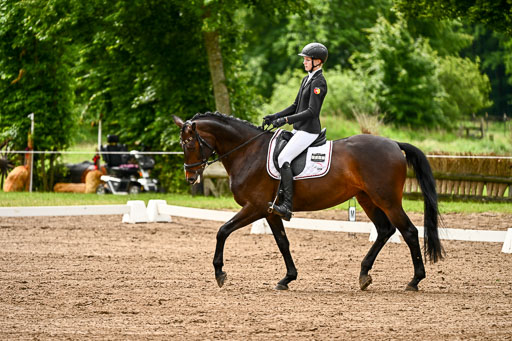 Goldene Schärpe Pferfde in Löningen 2026 | 12062026Dressur B _0141 