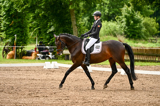 Goldene Schärpe Pferfde in Löningen 2026 | 12062026Dressur B _0142 