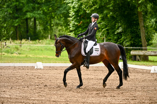 Goldene Schärpe Pferfde in Löningen 2026 | 12062026Dressur B _0143 