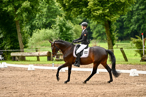 Goldene Schärpe Pferfde in Löningen 2026 | 12062026Dressur B _0144 