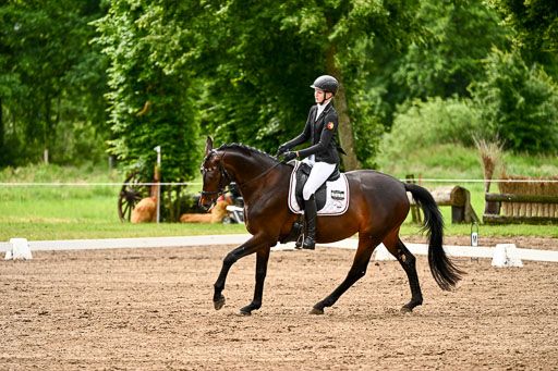Goldene Schärpe Pferfde in Löningen 2026 | 12062026Dressur B _0145 